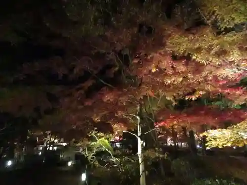 禅林寺（永観堂）の景色