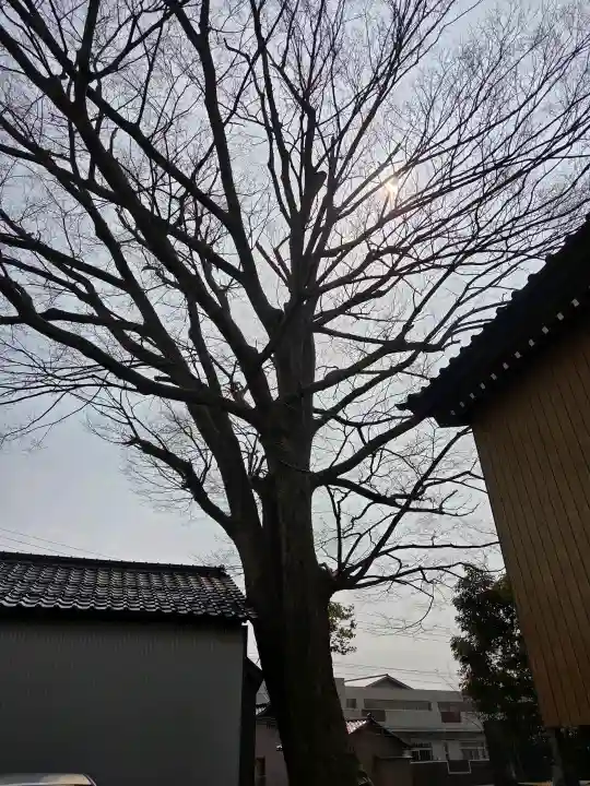 清水八幡神社の{uncategorized: "未分類", other: "その他", undefined: "問題あり", building: "その他建物", grave: "お墓", sacred_gate: "鳥居", guardian: "狛犬", statue: "像", buddha: "仏像", history: "歴史", nature: "自然", garden: "庭園", animal: "動物", pagoda: "塔", temizu: "手水舎", mountain_gate: "山門・神門", sanctuary: "本殿・本堂", subordinate: "末社・摂社", art: "芸術", scenery: "景色", jizo: "地蔵", ema: "絵馬", goshuin: "御朱印", omikuji: "おみくじ", items: "授与品その他", amulet: "お守り", goshuincho: "御朱印帳", eats: "食事", festival: "お祭り", votive_dance: "神楽", shichigosan: "七五三参", wedding: "結婚式", experience: "体験その他", initially: "初詣", around: "周辺", anti_infection: "感染症対策"}