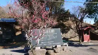 賀茂別雷神社のその他建物