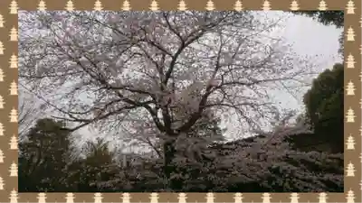 阿佐ヶ谷神明宮(東京都)