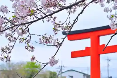 富士山本宮浅間大社(静岡県)