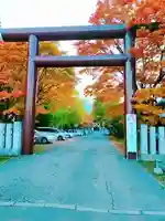 豊平神社の鳥居