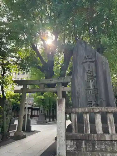 牛嶋神社の鳥居