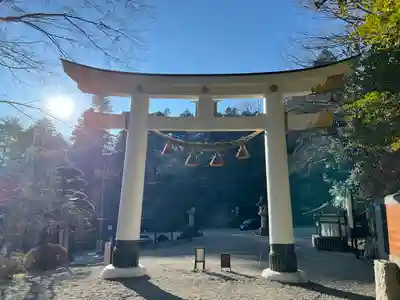 宝登山神社(埼玉県)