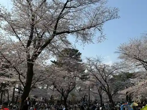 武蔵一宮氷川神社の{uncategorized: "未分類", other: "その他", undefined: "問題あり", building: "その他建物", grave: "お墓", sacred_gate: "鳥居", guardian: "狛犬", statue: "像", buddha: "仏像", history: "歴史", nature: "自然", garden: "庭園", animal: "動物", pagoda: "塔", temizu: "手水舎", mountain_gate: "山門・神門", sanctuary: "本殿・本堂", subordinate: "末社・摂社", art: "芸術", scenery: "景色", jizo: "地蔵", ema: "絵馬", goshuin: "御朱印", omikuji: "おみくじ", items: "授与品その他", amulet: "お守り", goshuincho: "御朱印帳", eats: "食事", festival: "お祭り", votive_dance: "神楽", shichigosan: "七五三参", wedding: "結婚式", experience: "体験その他", initially: "初詣", around: "周辺", anti_infection: "感染症対策"}