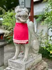 源九郎稲荷神社の狛犬