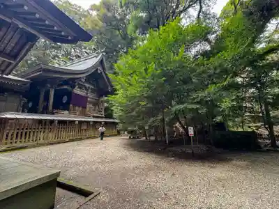 高千穂神社(宮崎県)