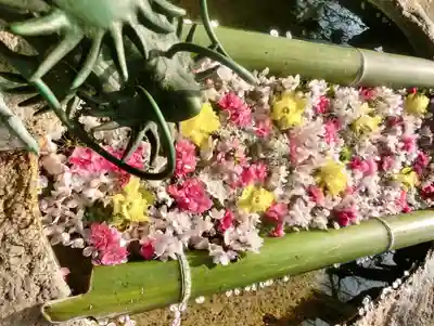 立志神社(滋賀県)