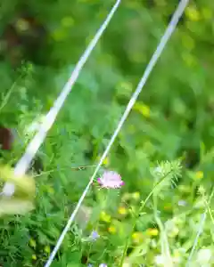 浄土寺(兵庫県)(2024年04月30日(火) 07時51分40秒投稿)