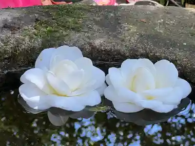 霊鑑寺門跡(京都府)