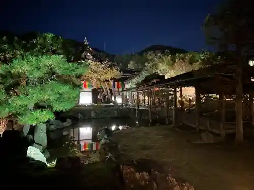 高台寺（高台寿聖禅寺・高臺寺）の{uncategorized: "未分類", other: "その他", undefined: "問題あり", building: "その他建物", grave: "お墓", sacred_gate: "鳥居", guardian: "狛犬", statue: "像", buddha: "仏像", history: "歴史", nature: "自然", garden: "庭園", animal: "動物", pagoda: "塔", temizu: "手水舎", mountain_gate: "山門・神門", sanctuary: "本殿・本堂", subordinate: "末社・摂社", art: "芸術", scenery: "景色", jizo: "地蔵", ema: "絵馬", goshuin: "御朱印", omikuji: "おみくじ", items: "授与品その他", amulet: "お守り", goshuincho: "御朱印帳", eats: "食事", festival: "お祭り", votive_dance: "神楽", shichigosan: "七五三参", wedding: "結婚式", experience: "体験その他", initially: "初詣", around: "周辺", anti_infection: "感染症対策"}