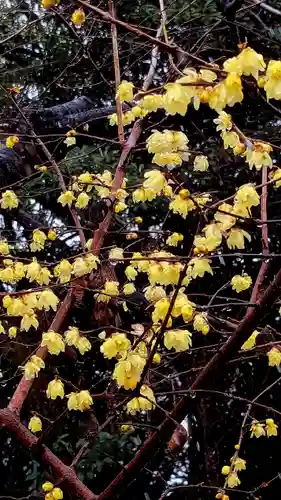 検見川神社の自然