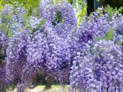 本成寺(大阪府)