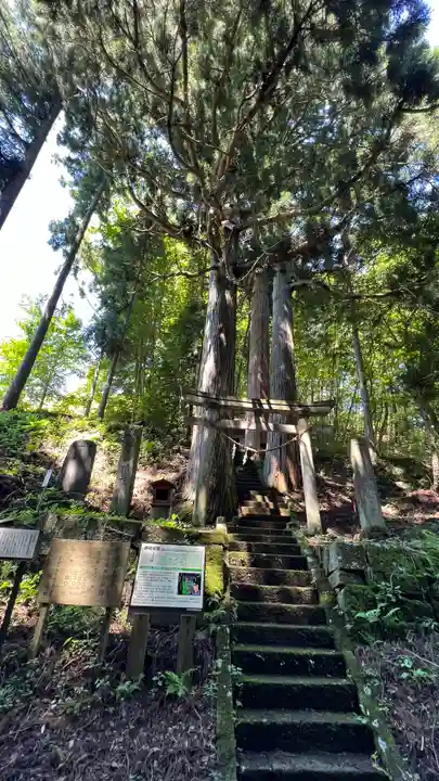 住吉玉津島神社(栃木県)