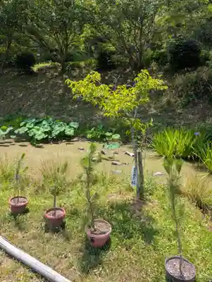 洞松寺(岡山県)