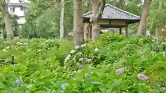 藤森神社の庭園