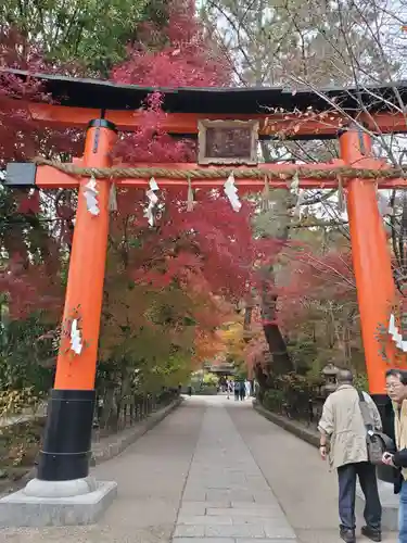 宇治上神社の鳥居