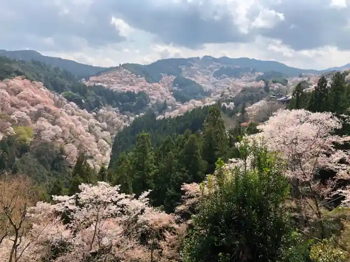 𠮷水神社(吉水神社)の景色