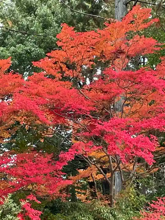 輪王寺(宮城県)