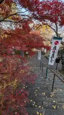 岩屋寺(京都府)