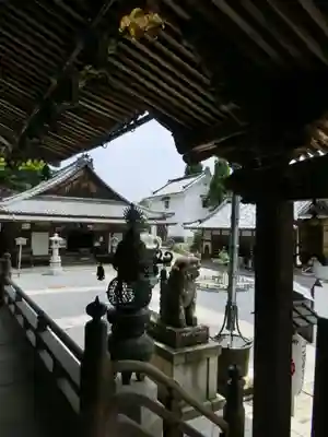 柳谷観音 楊谷寺の狛犬