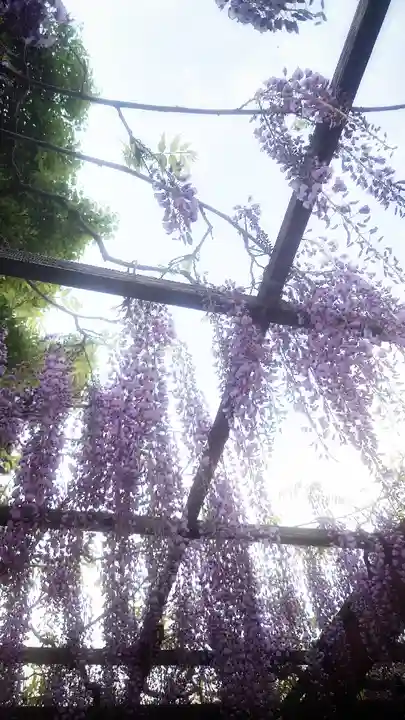 秋葉神社(愛知県)