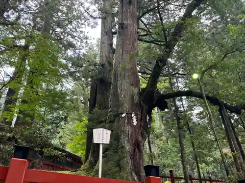 日光二荒山神社(栃木県)