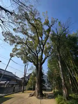 津嶋部神社の{uncategorized: "未分類", other: "その他", undefined: "問題あり", building: "その他建物", grave: "お墓", sacred_gate: "鳥居", guardian: "狛犬", statue: "像", buddha: "仏像", history: "歴史", nature: "自然", garden: "庭園", animal: "動物", pagoda: "塔", temizu: "手水舎", mountain_gate: "山門・神門", sanctuary: "本殿・本堂", subordinate: "末社・摂社", art: "芸術", scenery: "景色", jizo: "地蔵", ema: "絵馬", goshuin: "御朱印", omikuji: "おみくじ", items: "授与品その他", amulet: "お守り", goshuincho: "御朱印帳", eats: "食事", festival: "お祭り", votive_dance: "神楽", shichigosan: "七五三参", wedding: "結婚式", experience: "体験その他", initially: "初詣", around: "周辺", anti_infection: "感染症対策"}