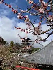 中山寺の自然