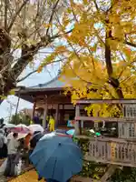 祐専寺の本殿・本堂