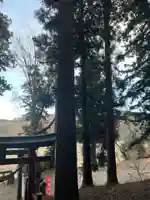 大宮温泉神社(栃木県)