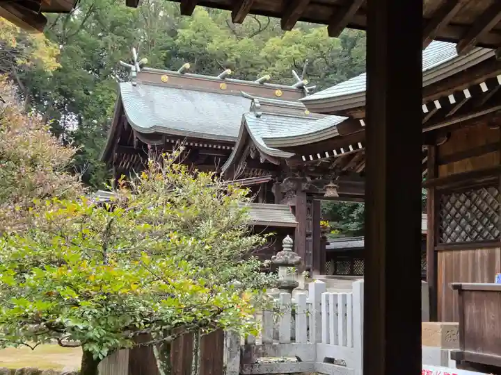 多家神社(広島県)