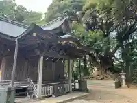 諏訪神社(千葉県)