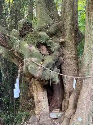 石清水八幡宮(京都府)