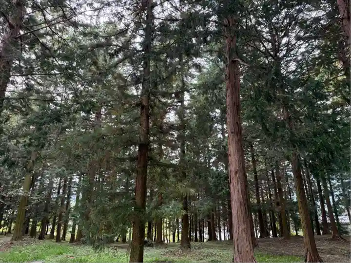 冨士御室浅間神社(山梨県)