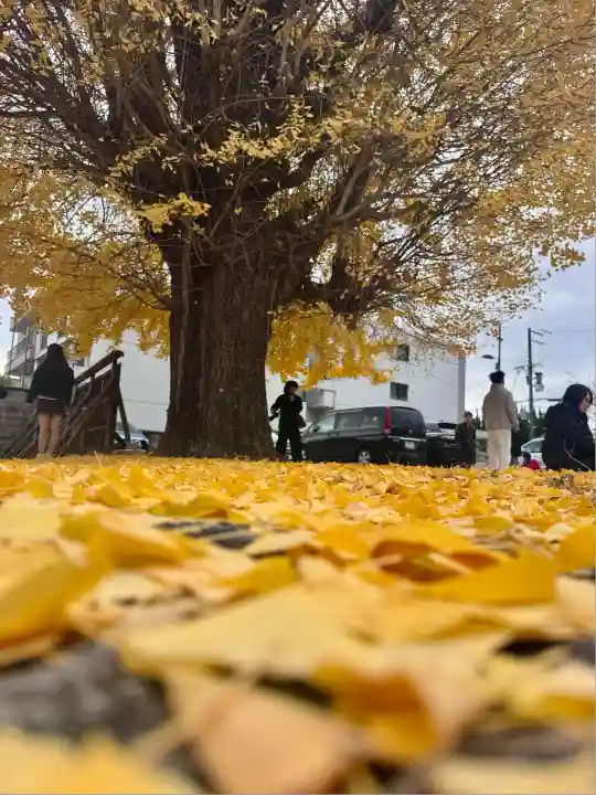 慧光寺(京都府)