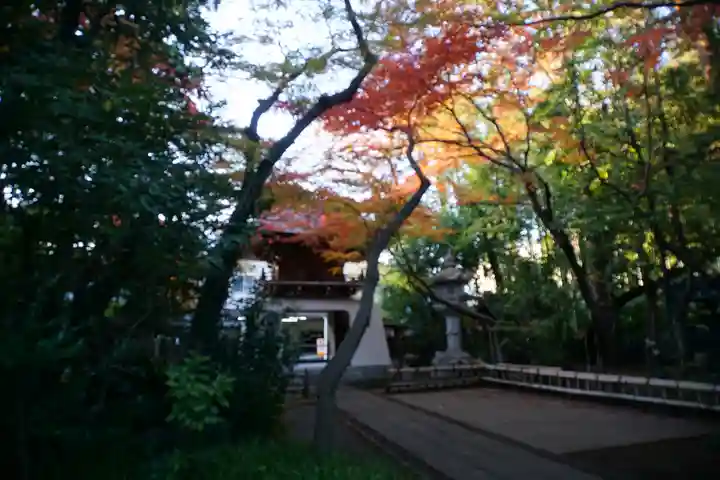 大正寺のその他建物