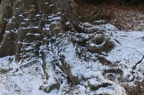 愛宕神社の自然