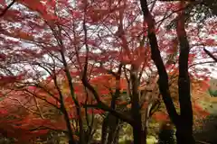 三春大神宮の自然