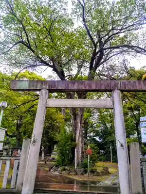 片山神社の鳥居