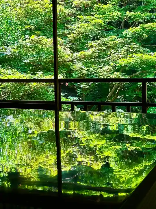 光明寺瑠璃光院(京都府)