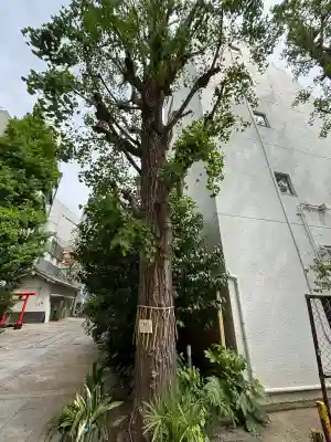 銀杏岡八幡神社(東京都)