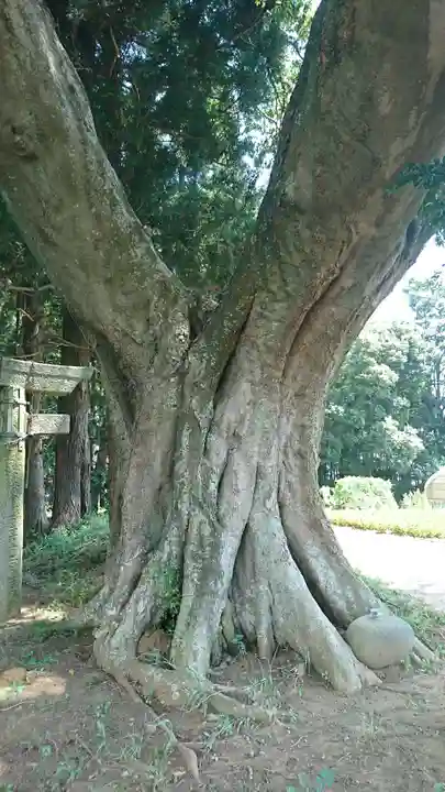 明神社のその他建物