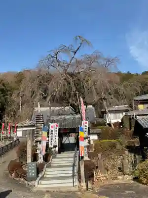 林陽寺のその他建物