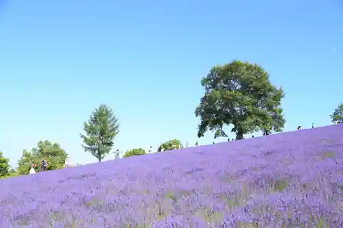 西野神社の周辺