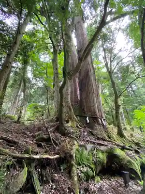 貴船神社奥宮(京都府)