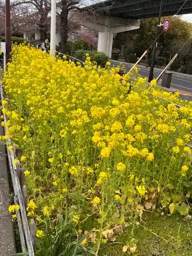 石濱神社の自然