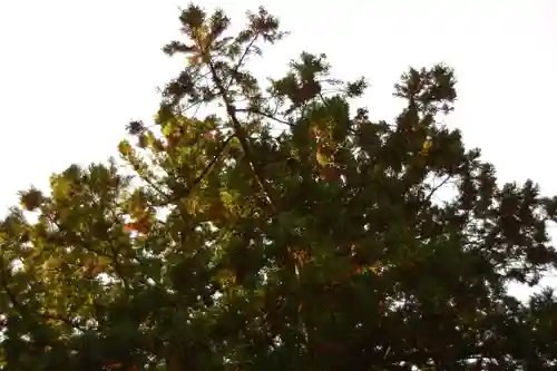 雄山神社前立社壇(富山県)