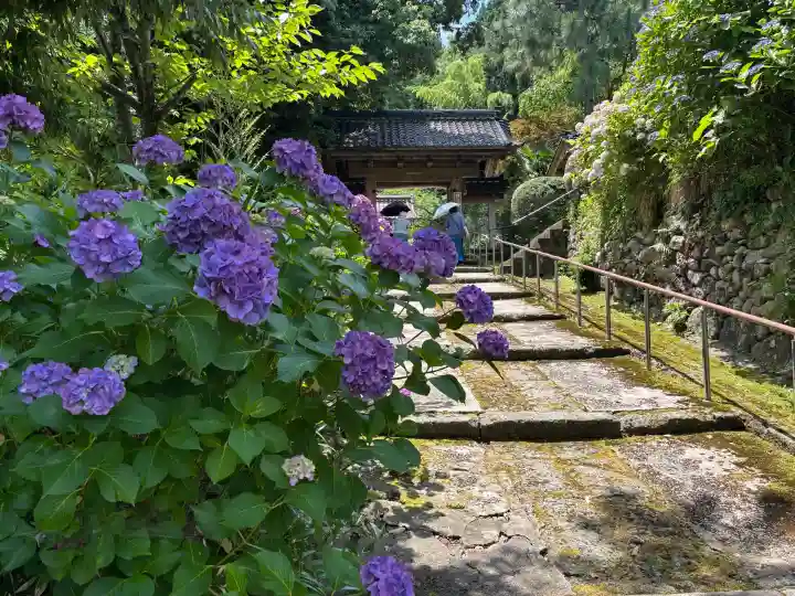本興寺(石川県)