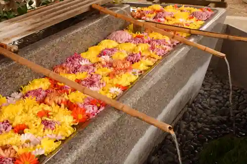 射水神社の手水舎